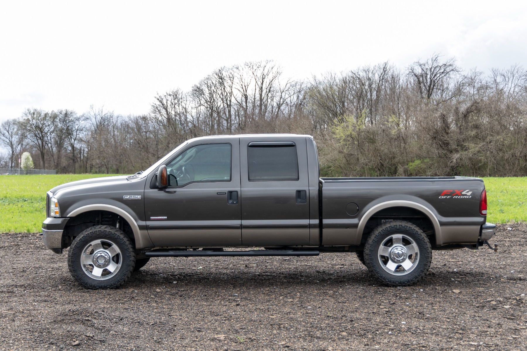 Oval Nerf Step | Crew Cab | Black | Ford F-250/F-350 Super Duty (99-16) — Bild 6