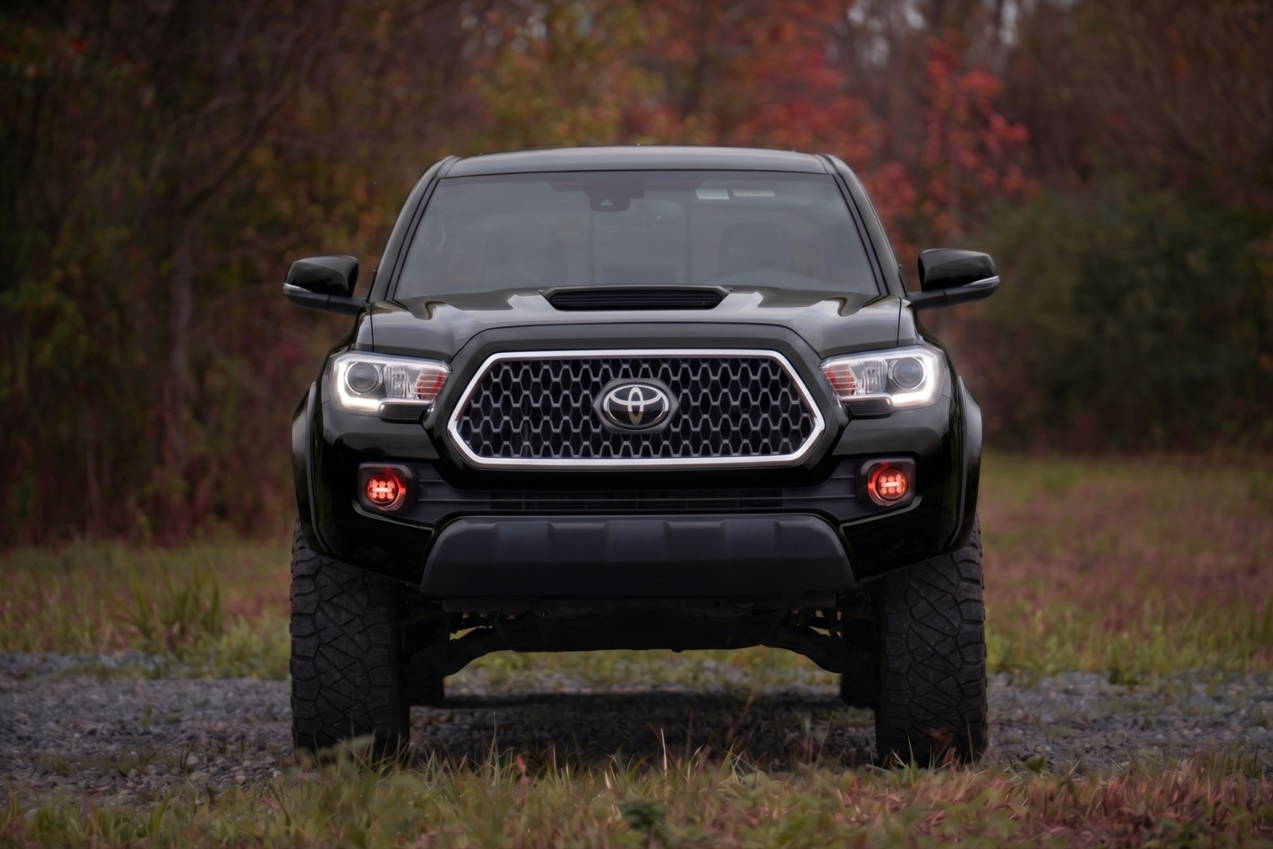 Sport Fender Flares | 202 Black Onyx | Toyota Tacoma 2WD/4WD (2016-2023) — Bild 5