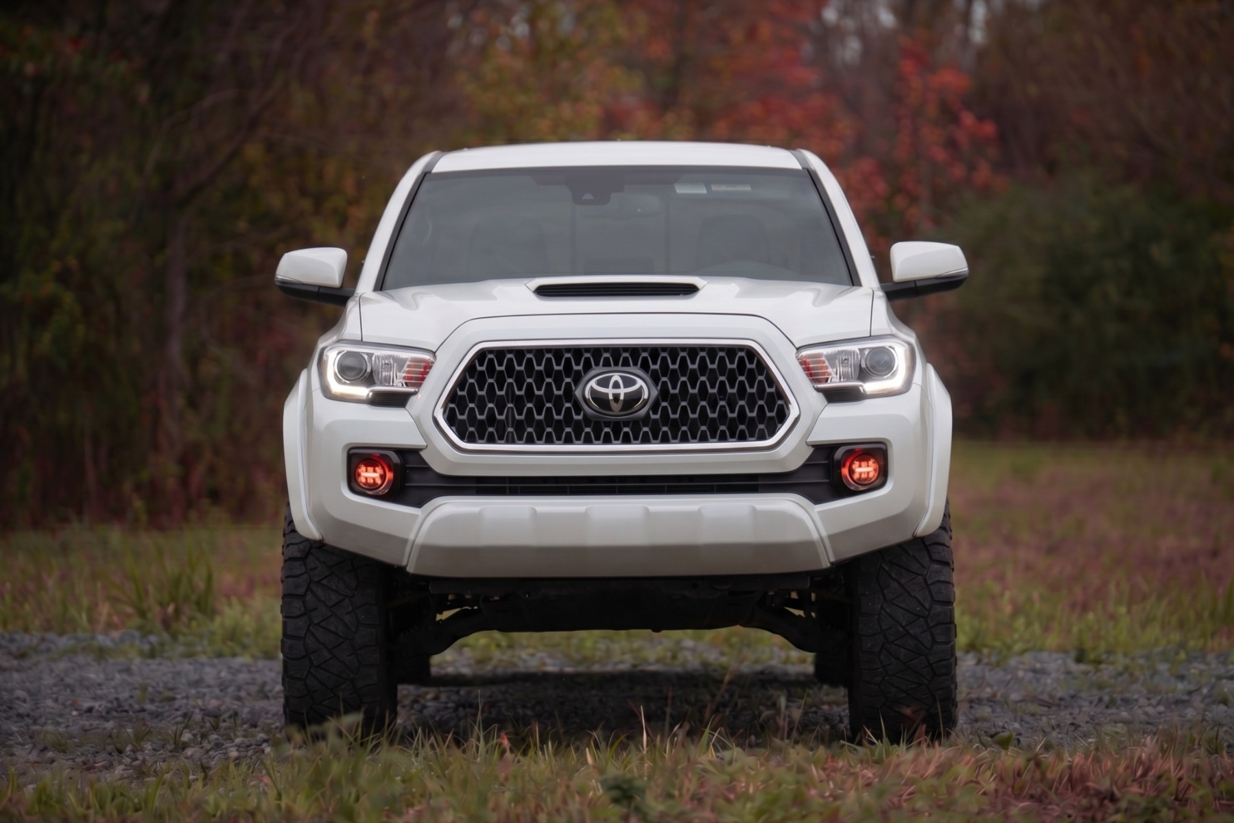 Sport-Kotflügelverbreiterungen | 089 Wind Chill | Toyota Tacoma 2WD/4WD (2016–2023) — Bild 4