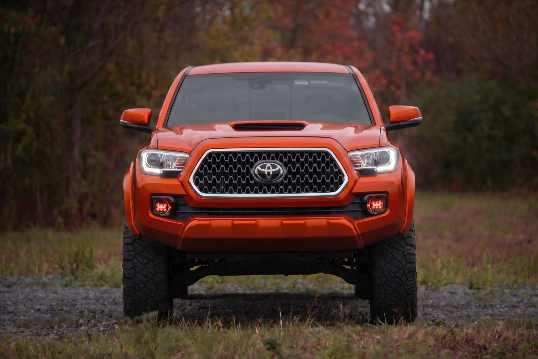 Sport-Kotflügelverbreiterungen | 4X0 Inferno | Toyota Tacoma 2WD/4WD (2016–2023) — Bild 5