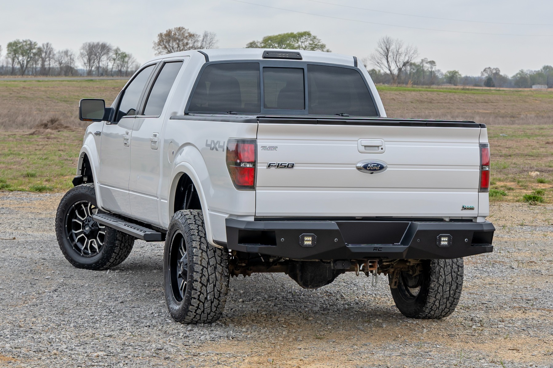 BA2 Trittbretter | Seitliche Trittstufen | Ford F-150 2WD/4WD (2009–2014) — Bild 6