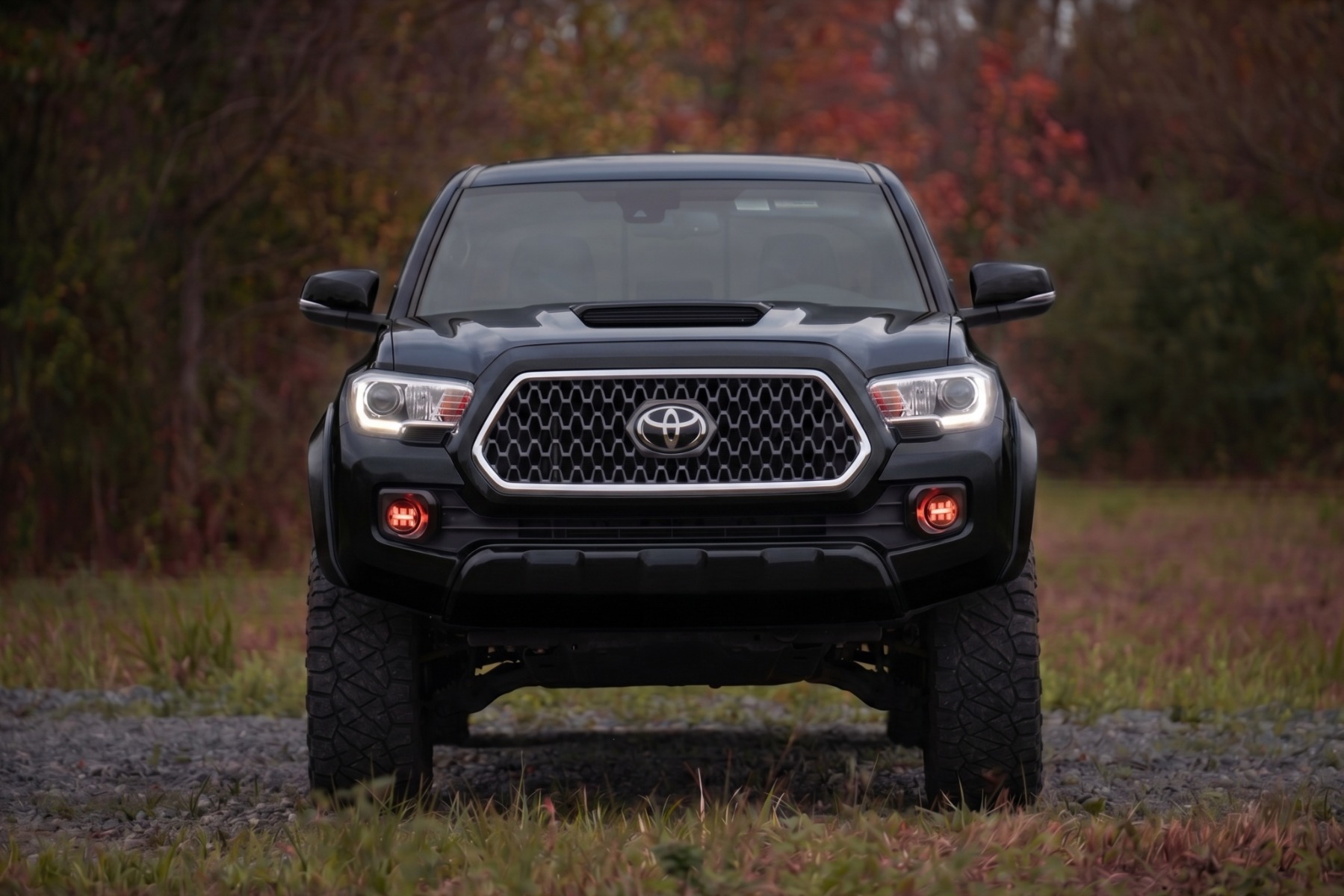 Sport-Kotflügelverbreiterungen | 218 Midnight Black Metallic | Toyota Tacoma (16–23) — Bild 5