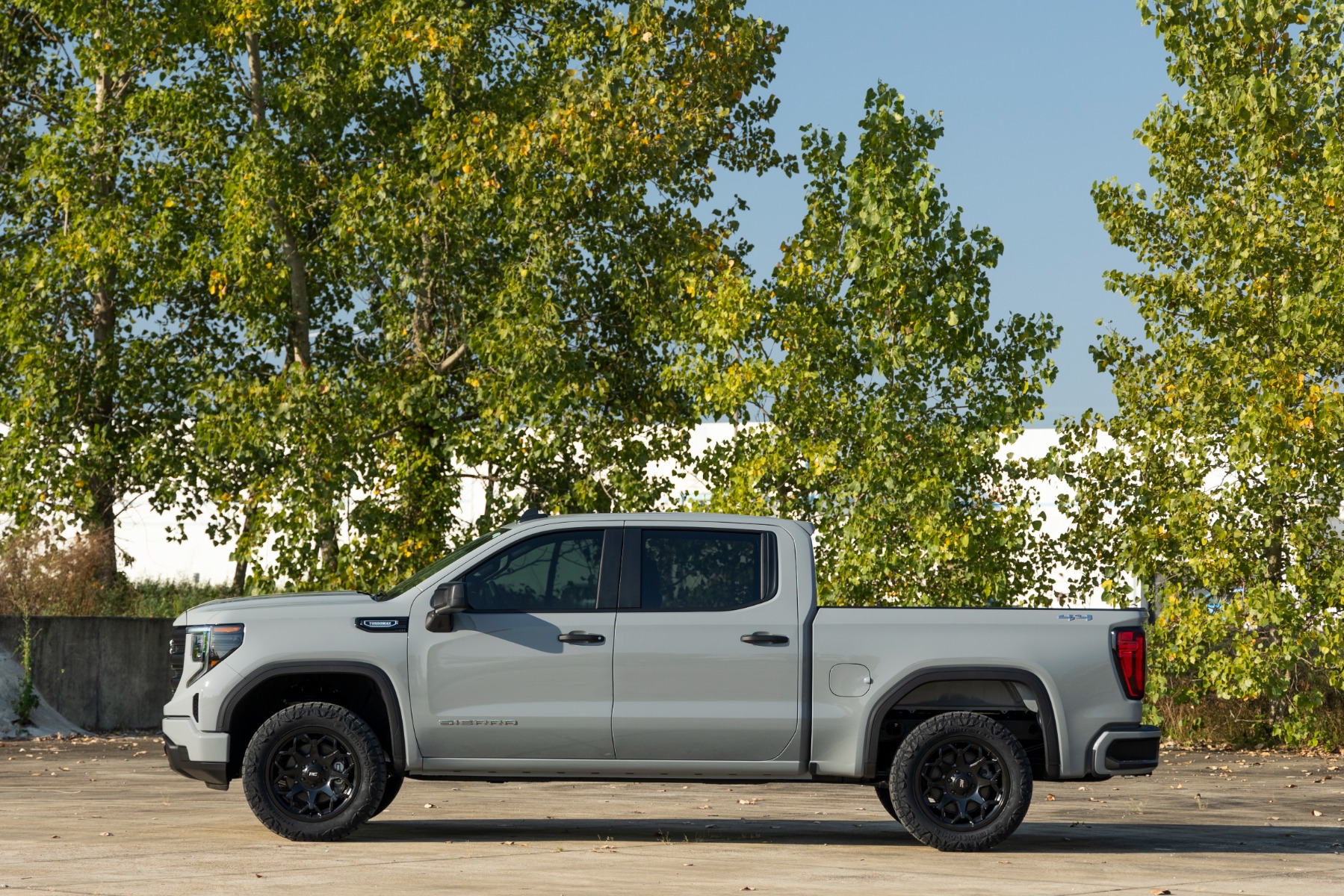 N3 Leveling Struts | 2 Inch | Loaded Strut | Chevy/GMC Sierra 1500 (19-26)/Silverado 1500 (19-26) — Bild 6