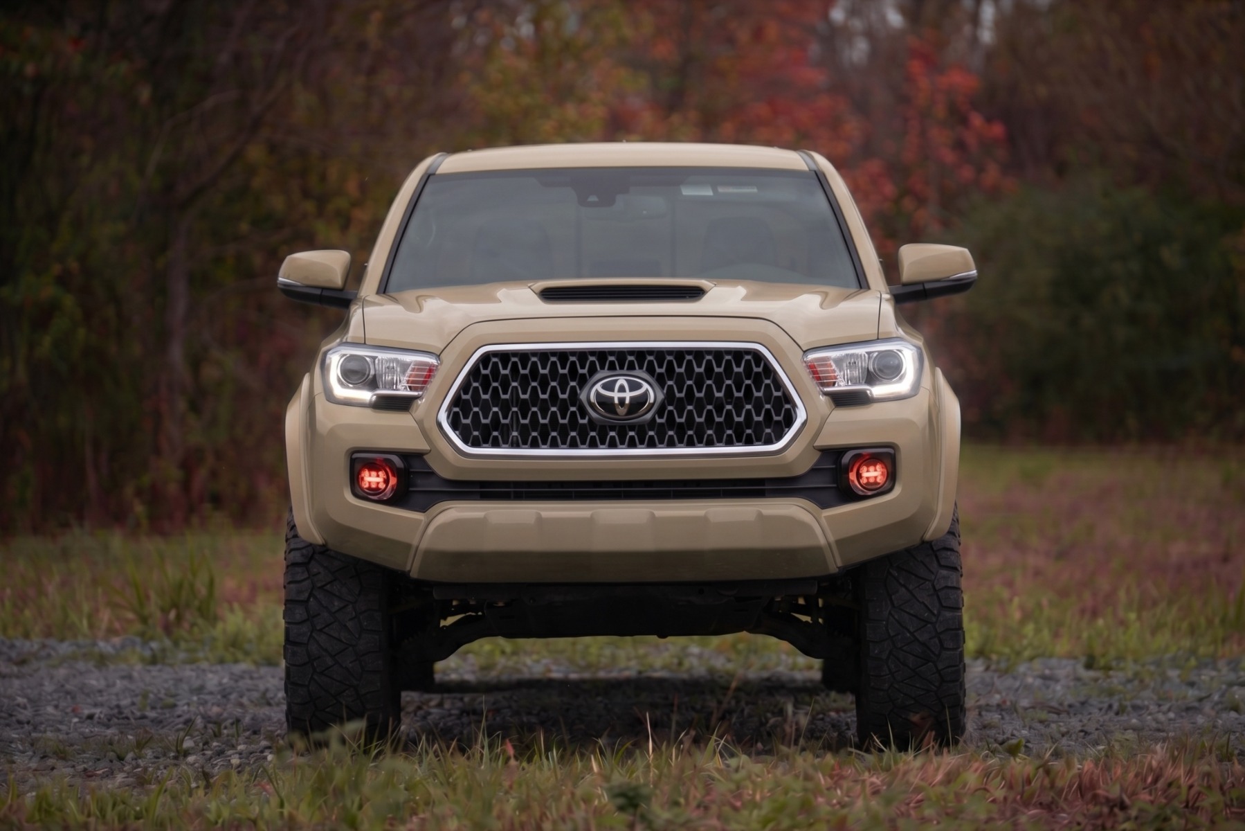 Sport-Kotflügelverbreiterungen | 4V6 Quicksand | Toyota Tacoma 2WD/4WD (2016–2023) — Bild 5