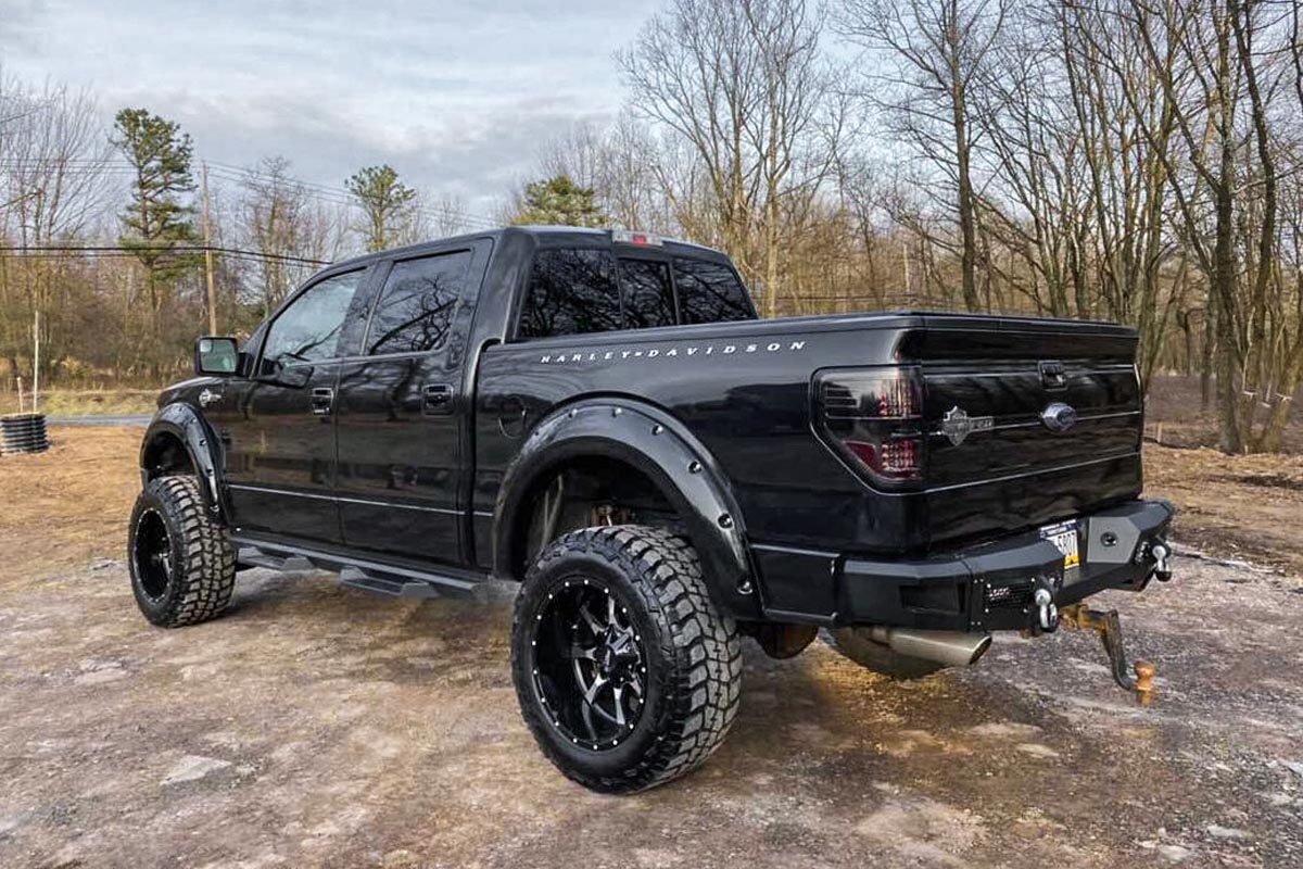 6 Inch Lift Kit | Vertex/V2 | Ford F-150 4WD (2014) — Bild 5