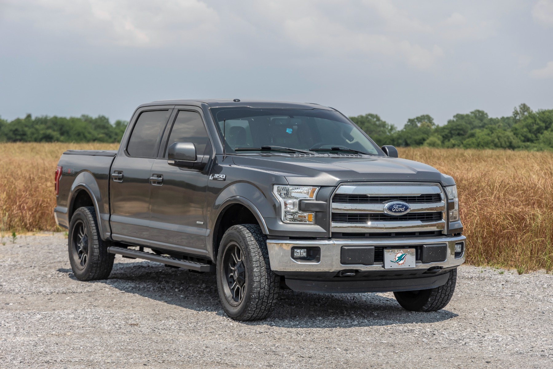 BA2 Trittbretter | Seitliche Trittstufen | Ford F-150/F-250/F-350 2WD/4WD (15–26) — Bild 6