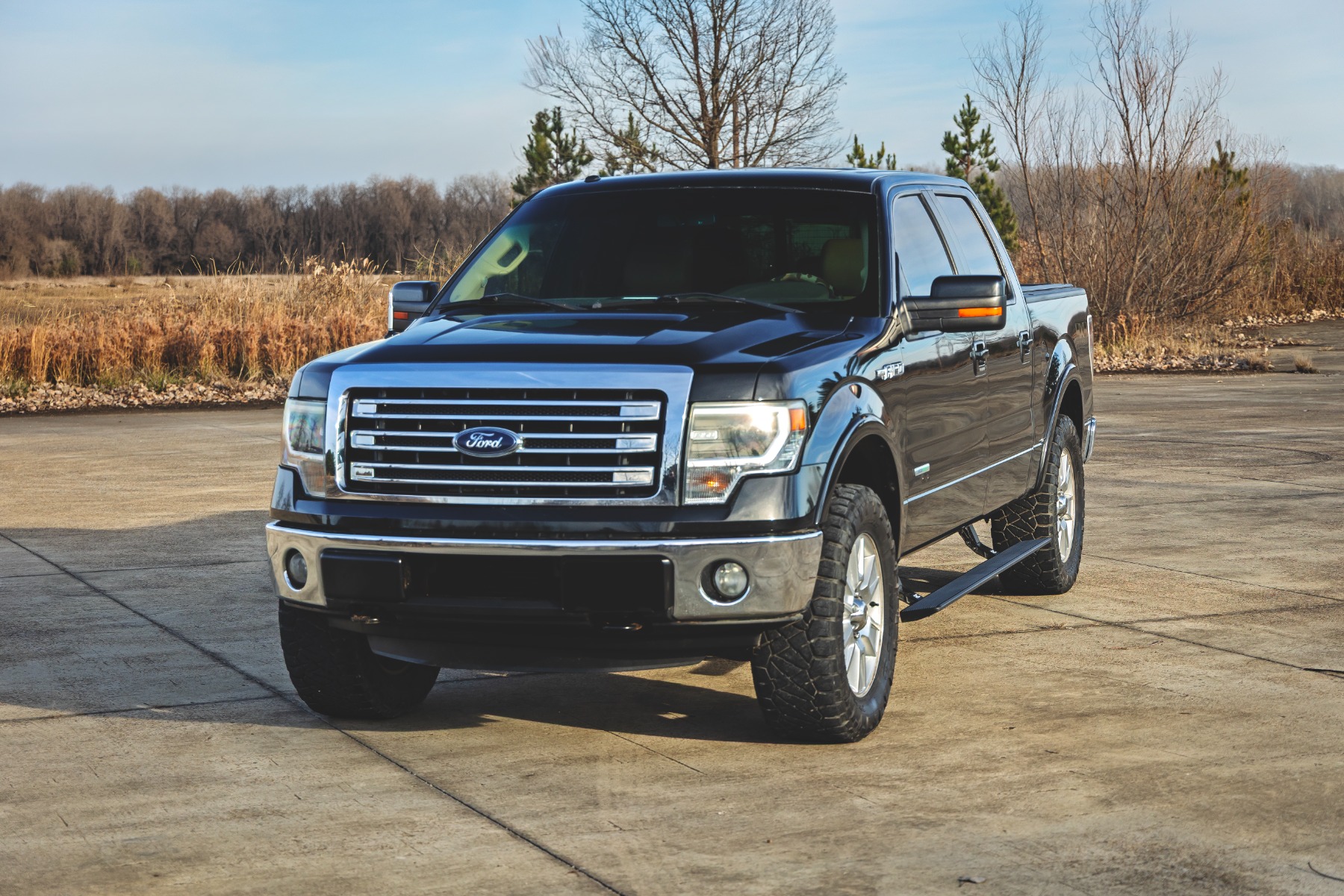 Elektrische Trittbretter | Doppelkabine | Ford F-150 (2009–2014) — Bild 3